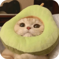 酷咪视频下载官方版APP应用